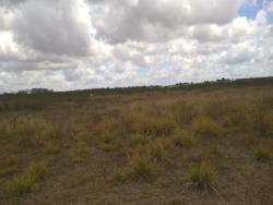 #23 - Terreno para Venda em Cruz das Almas - BA - 2