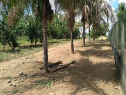 #154 - Fazenda para Venda em Cruz das Almas - BA - 3