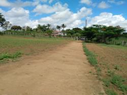 #154 - Fazenda para Venda em Cruz das Almas - BA