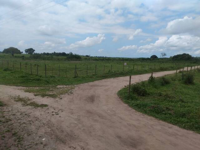 #255 - Terreno para Venda em Cachoeira - BA - 2