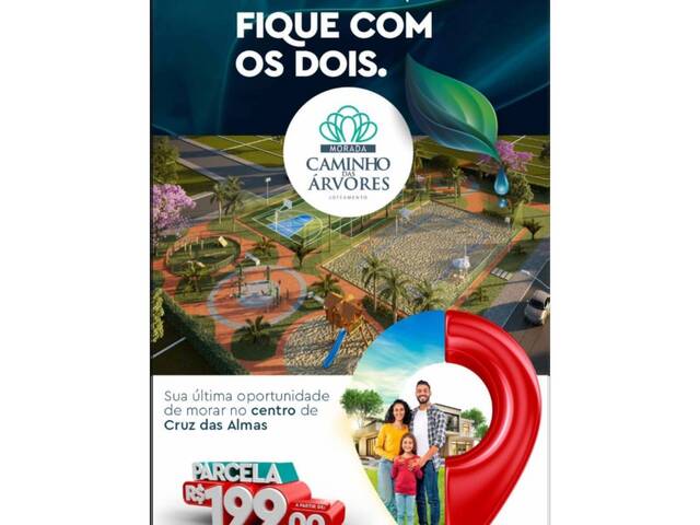 Área para Venda em Cruz das Almas - 5
