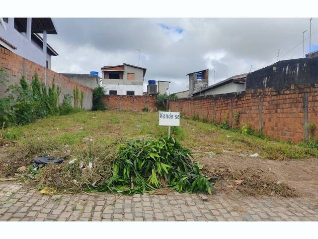 #296 - Terreno para Venda em Cruz das Almas - BA - 2