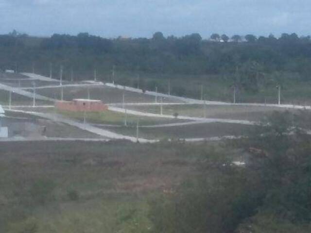 #291 - Terreno para Venda em Cruz das Almas - BA - 3