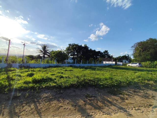 #306 - Sítio para Venda em Sapeaçu - BA - 2