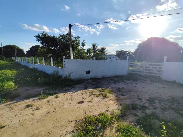 #306 - Sítio para Venda em Sapeaçu - BA - 3