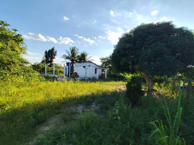  para  em  - 5