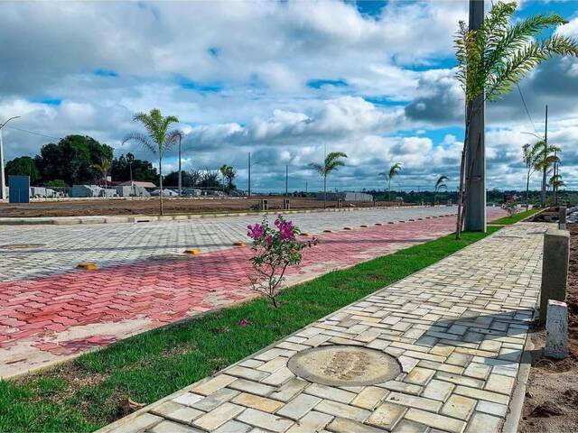 Terreno para Venda em Cruz das Almas - 5