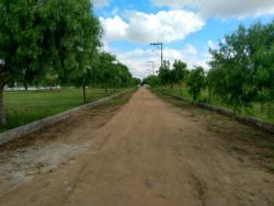 #93 - Terreno para Venda em Muritiba - BA - 2