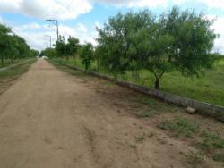 #93 - Terreno para Venda em Muritiba - BA - 3