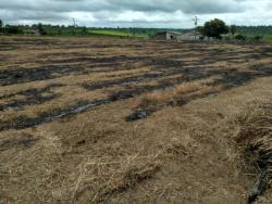 #123 - Terreno para Venda em Muritiba - BA - 1