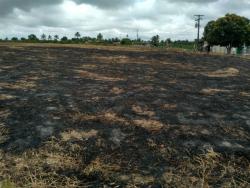 #123 - Terreno para Venda em Muritiba - BA - 3